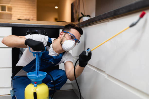 Best Flea Control Services  in Three Lakes, WA