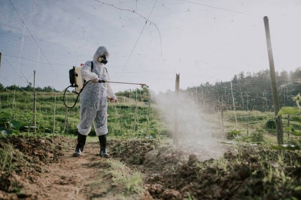 Best Local Pest Control Services  in Three Lakes, WA