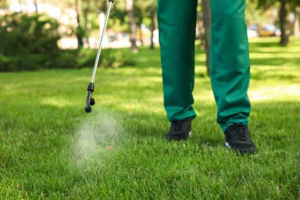Best Wildlife Control Services  in Three Lakes, WA