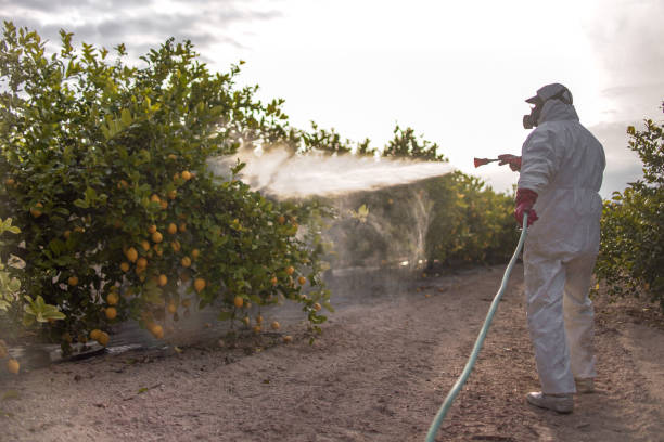 Best Wildlife Control Services  in Three Lakes, WA
