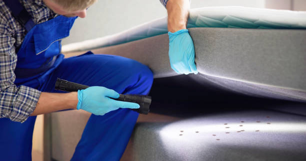 Best Local Pest Control Services  in Three Lakes, WA