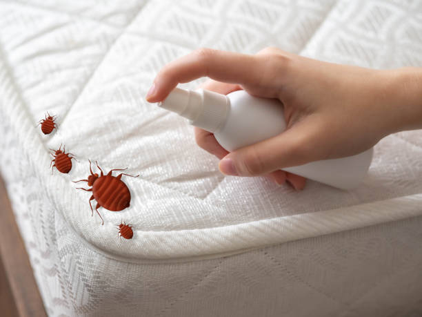 Best Affordable Pest Control Services  in Three Lakes, WA