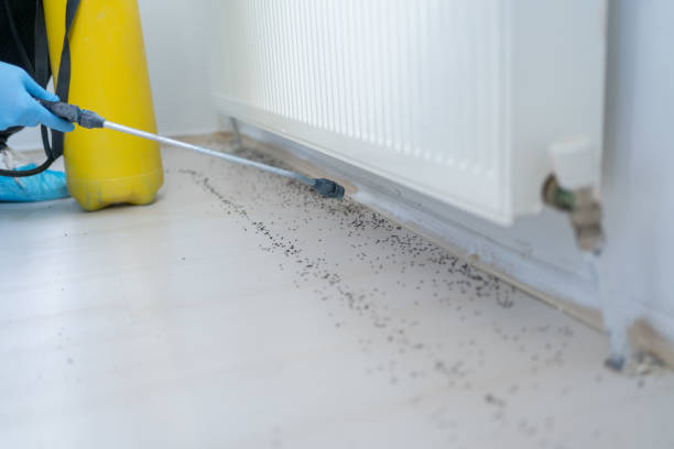 Best Exterminator Services  in Three Lakes, WA